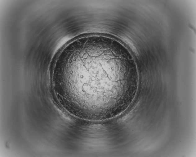 X0000091190982200708161546