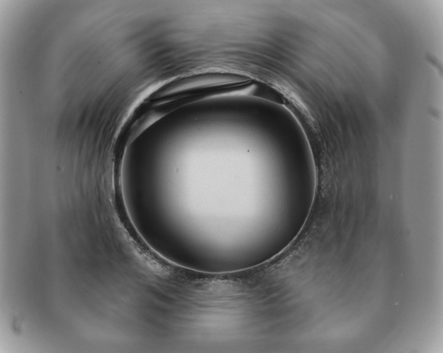 X0000091190984200708161546