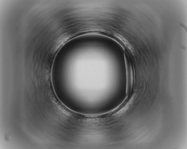 X0000091190985200708161546