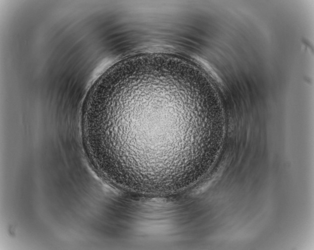 X0000091190986200708161546