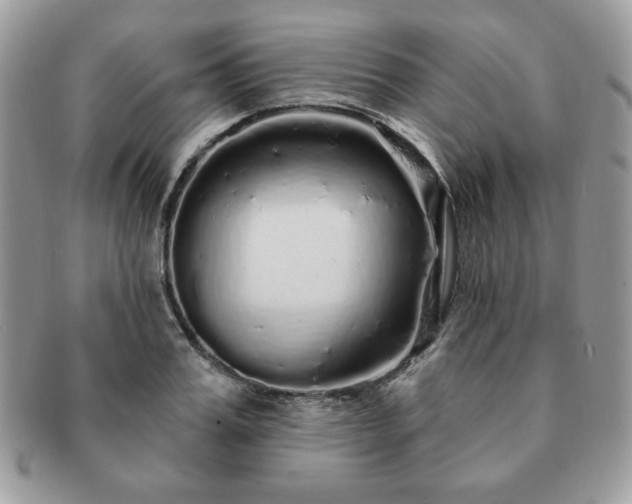 X0000091190987200708161546