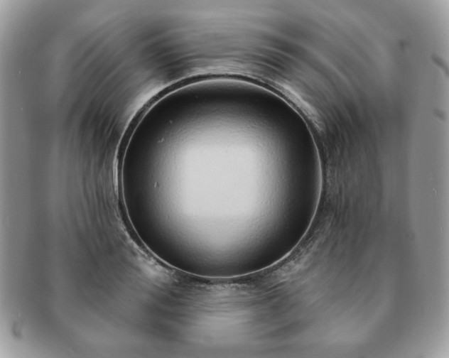 X0000091190988200708161546