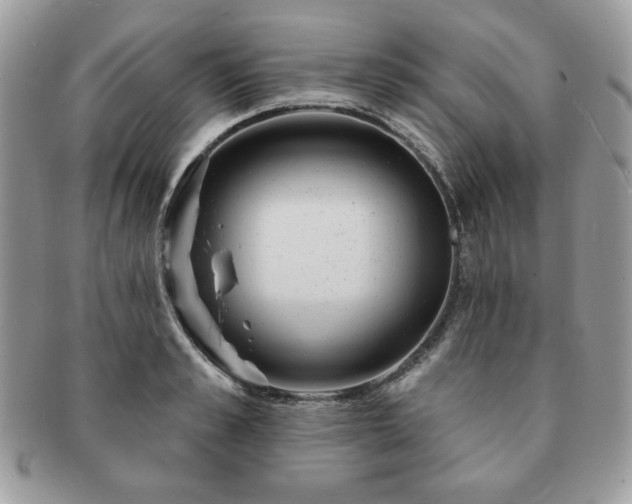 X0000091190989200708161546