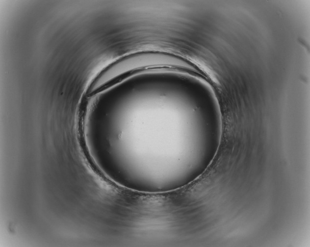 X0000091190991200708161546