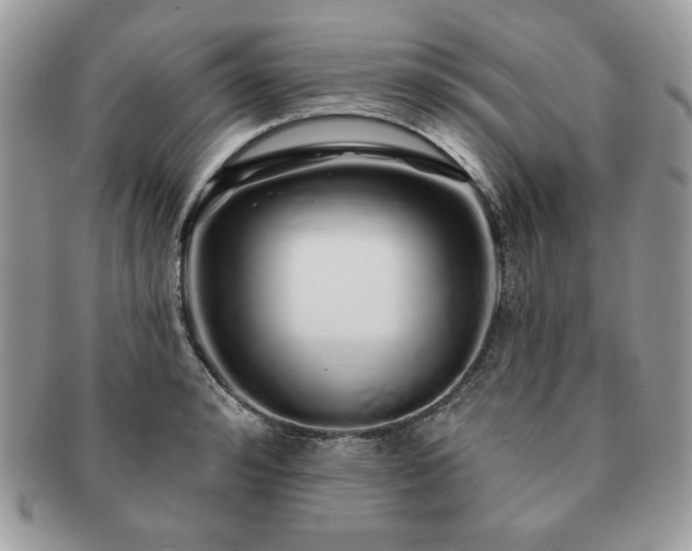X0000091190992200708161546