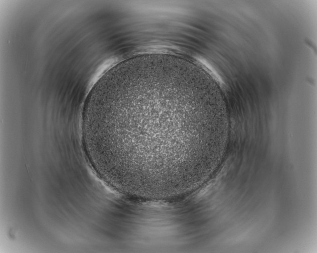 X0000091190994200708161546