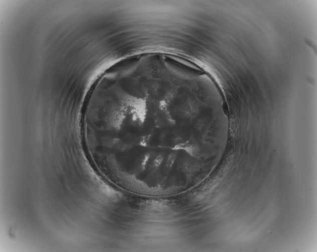 X0000091190995200708161546