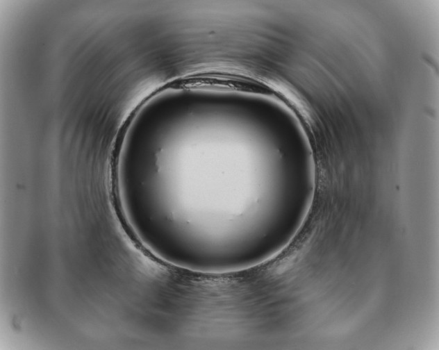 X0000091190999200708161546