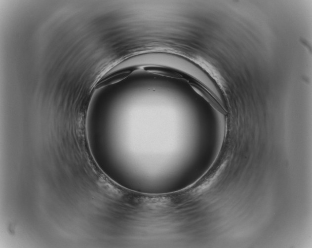 X0000091191001200708161546