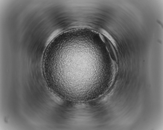 X0000091191002200708161546