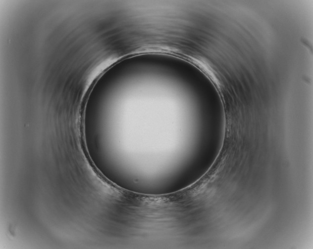 X0000091191003200708161546