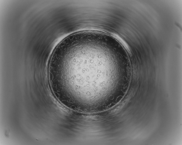 X0000091191004200708161546