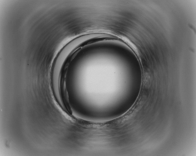 X0000091191005200708161546