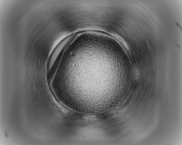 X0000091191006200708161546