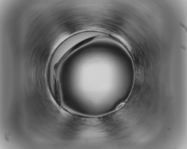 X0000091191007200708161546