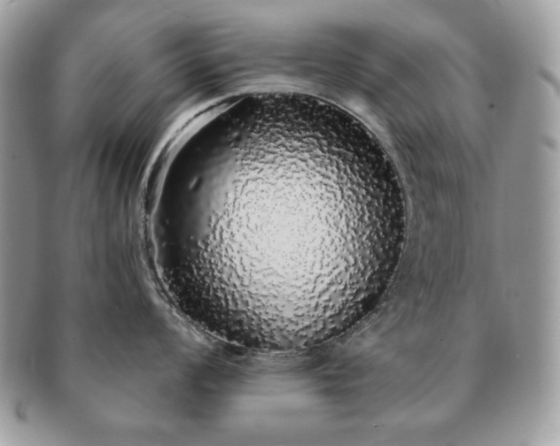X0000091191008200708161546