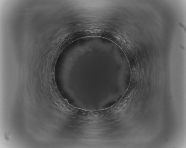 X0000091191009200708161545