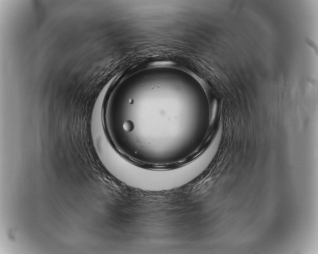 X0000091191010200708161545