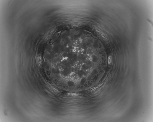 X0000091191011200708161545
