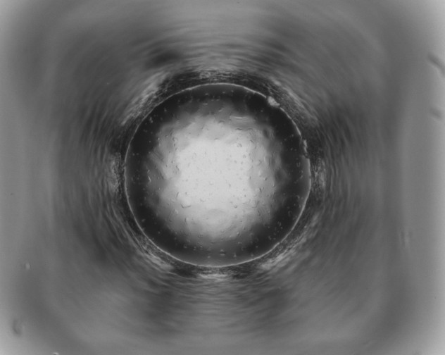X0000091191012200708161545