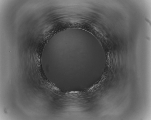 X0000091191013200708161545