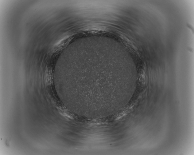 X0000091191014200708161545