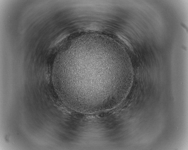 X0000091191015200708161545