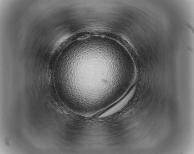 X0000091191016200708161545