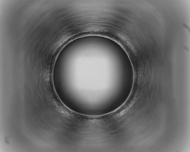X0000091191017200708161545