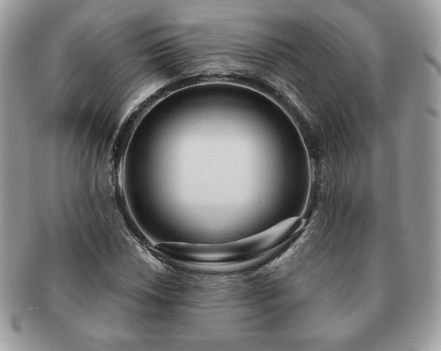 X0000091191018200708161545