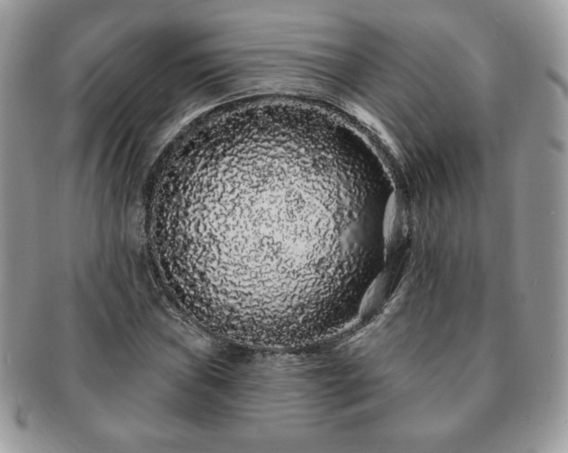 X0000091191019200708161545