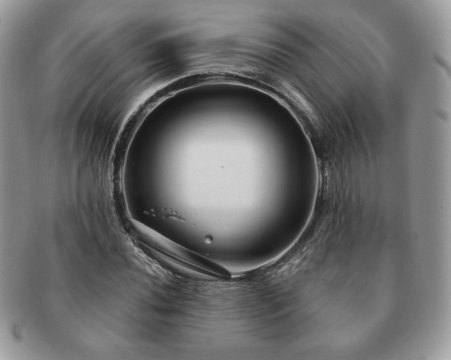 X0000091191020200708161545
