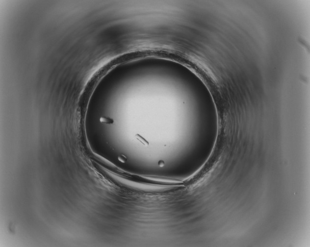 X0000091191021200708161545