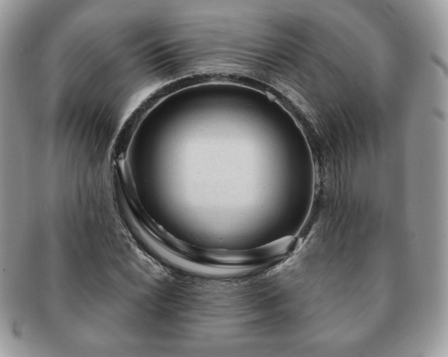 X0000091191022200708161545