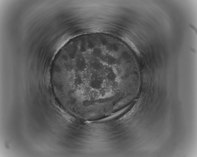 X0000091191023200708161545