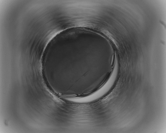 X0000091191024200708161545