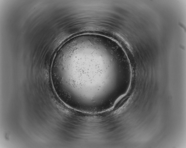 X0000091191025200708161545