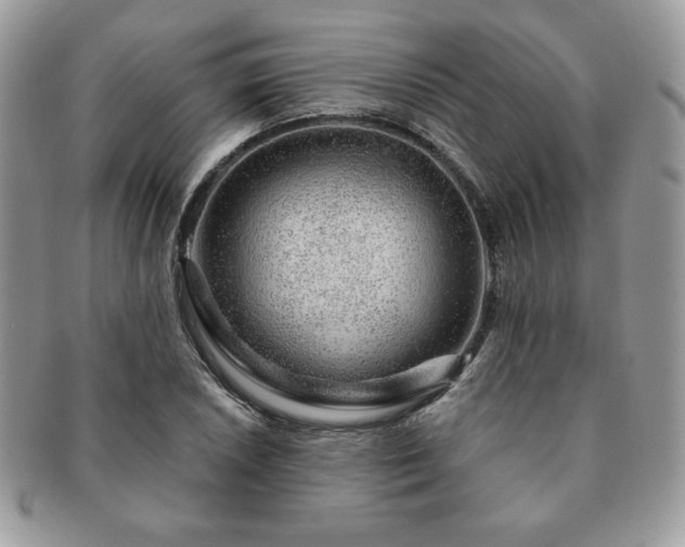 X0000091191026200708161545