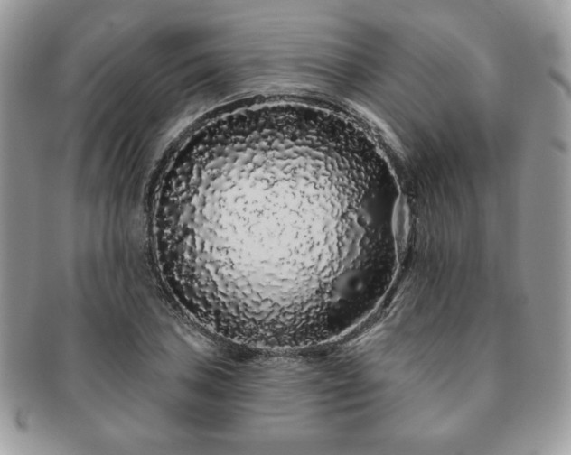 X0000091191027200708161545