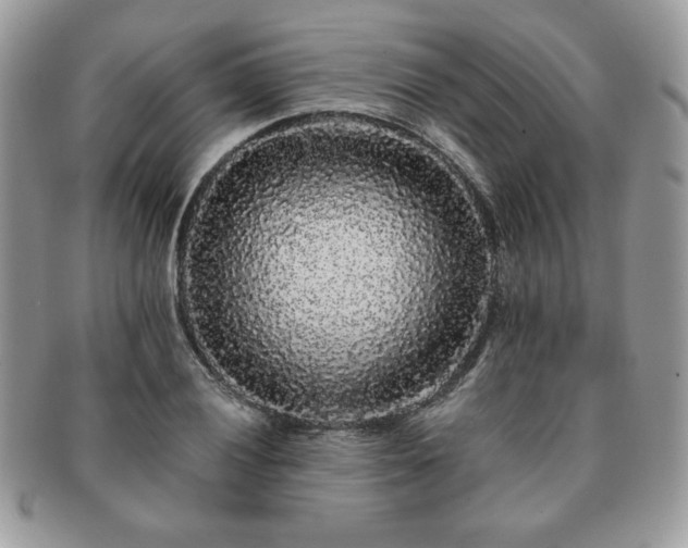X0000091191028200708161546