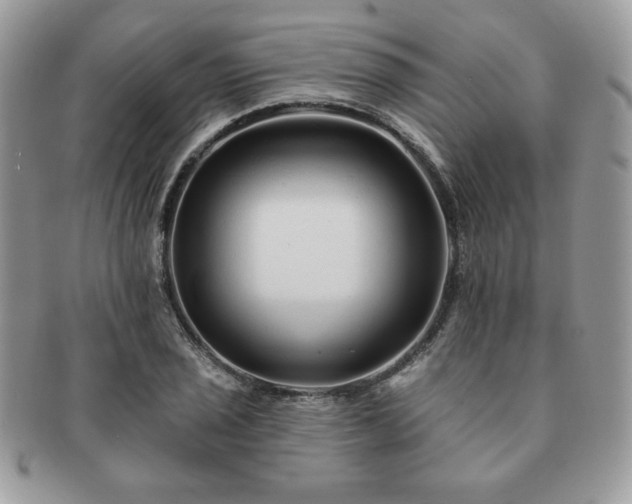 X0000091191029200708161546