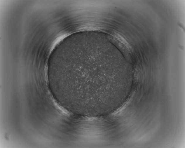 X0000091191030200708161546