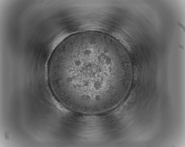 X0000091191031200708161546