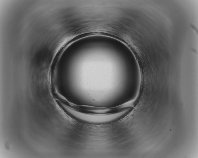 X0000091191032200708161546