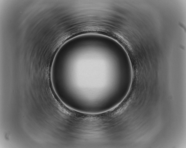 X0000091191033200708161546