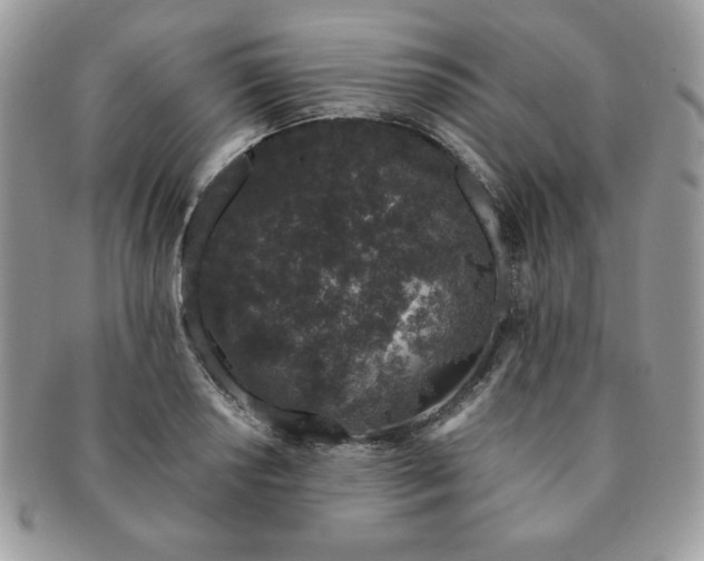 X0000091191034200708161546