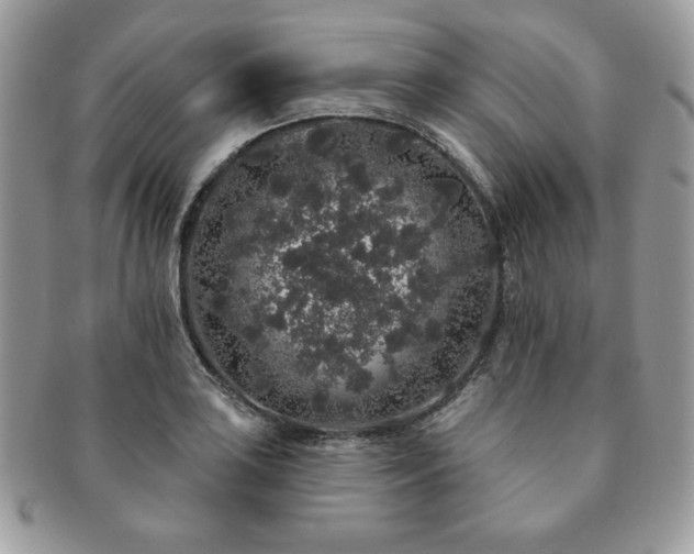 X0000091191035200708161546