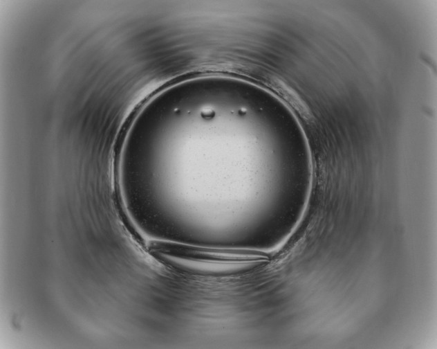 X0000091191036200708161546