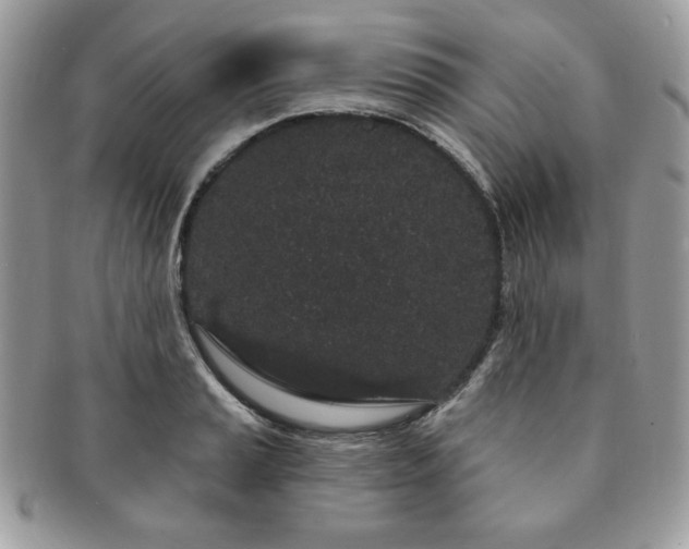 X0000091191037200708161546
