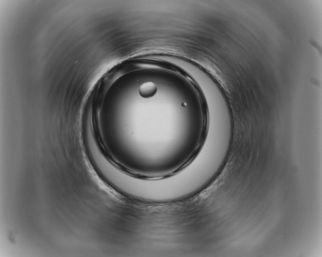 X0000091191038200708161546